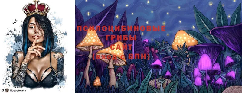 Псилоцибиновые грибы Cubensis  как найти закладки  Фёдоровский 